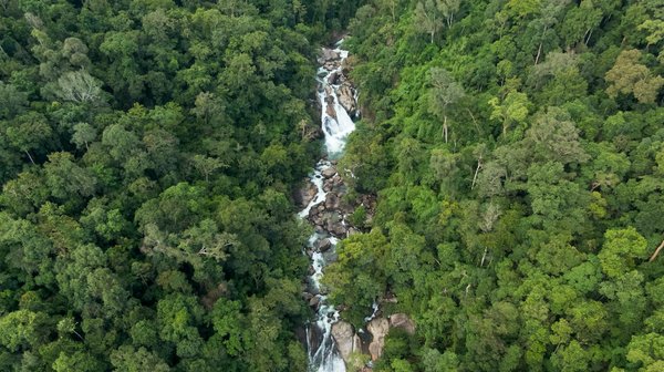 Comment le rock a influencé la mode ?